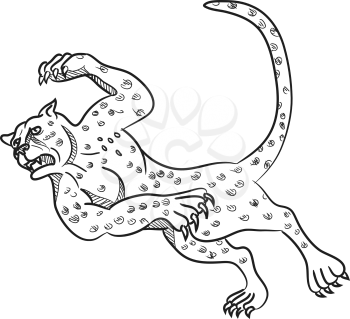 Cartoon style illustration of a cheetah running, tripping and then falling down done in black and white on isolated background.