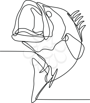 Continuous line illustration of largemouth bass, freshwater gamefish that is a species of black bass native to North America, jumping up done in black and white monoline style.
