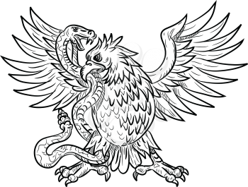 Drawing sketch style illustration of a Mexican eagle, golden eagle or northern crested caracara fighting a rattlesnake, viper, snake or serpent in black and white on isolated background.