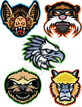 Mascot icon illustration set of heads of Amazon wildlife like the vampire bat, emperor tamarin monkey, harpy eagle, sloth and alpaca or llama viewed from  on isolated background in retro style.