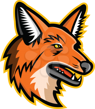 Sports mascot icon illustration of head of a maned wolf, the largest canid of South America viewed from  on isolated background in retro style.