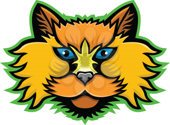 Sports mascot icon illustration of head of a Selkirk Rex, breed of domestic cat with highly curled hair viewed from front on isolated background in retro style.