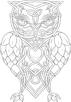 Celtic Knotwork illustration of a stylized owl with barley above eye and hops for wings viewed from front on isolated background.