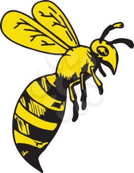 Drawing sketch style illustration of a yellowjacket wasp or hornet flying side view on white background.
