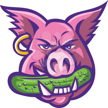 Mascot icon illustration of head of a pink wild pig, boar or hog biting a pickle or gherkin, a pickled cucumber wearing an earring on isolated background in retro style.