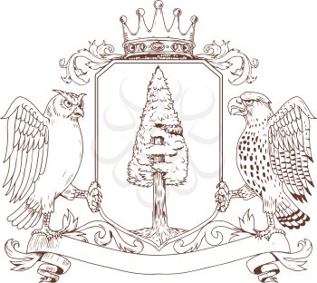 Drawing sketch style illustration of coat of arms showing an Owl and Hawk as supporters on side with Redwood tree and nest inisde crest and Crown on top and ribbon banner scroll below on isolated background.