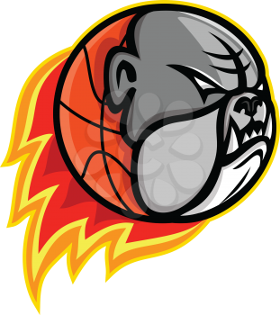 Sports mascot icon illustration of head of a bulldog on blazing or flaming basketball ball on fire viewed from side on isolated background in retro style.