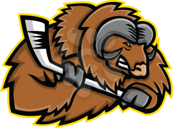Mascot icon illustration of head of a muskox, musk ox or musk-ox, an Arctic hoofed mammal of the family Bovidae, with ice hockey stick viewed from side on isolated background in retro style.