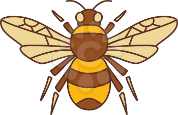 Icon style illustration of Bumble Bee Bumblebee  member of genus Bombus, part of Apidae with open wing on isolated background.