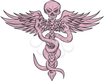 Drawing sketch style illustration of a human skull with two snake intertwined in spinal column with wings representing the Rod of Asclepius or caduceus on isolated white background.