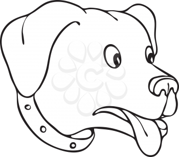 Drawing sketch style illustration of a Labrador Retriever, Black Lab or retriever-gun dog, with eyes popping surprised and tongue out in black and white on isolated white background.