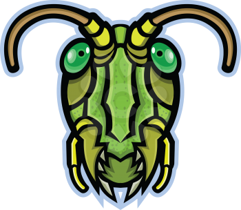 Mascot icon illustration of head of a grasshopper or locust, insects of the suborder Caelifera within the order Orthoptera, viewed from front on isolated background in retro style.