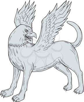 Drawing sketch style illustration of a Chamrosh, a Persian mythology creature with the body of a dog with the head and wings of a bird rather like the Greek Griffin viewed from the side set on isolated white background. 