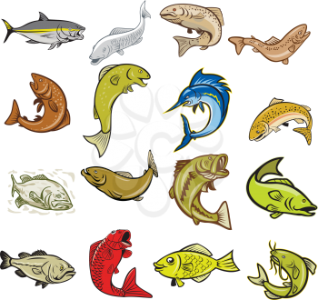 Set or collection of cartoon character mascot style illustration of marine life like tuna, trout, salmon, sea bass, largemouth, catfish, koi carp, herring, gourami fish on isolated white background.