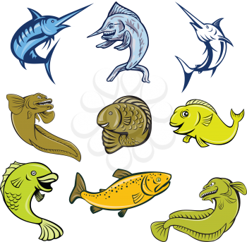Set or collection of cartoon character mascot style illustration of marine life and fish like the blue marlin, swordfish, eel, koi carp, trout and salmon on isolated white background.