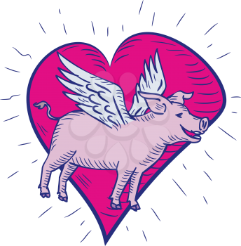 Doodle art illustration of a pig, hog or boar with wing flying side view set inside pink heart done in drawing sketch style on isolated white background in color. 