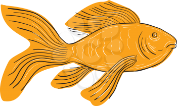 Drawing sketch style illustration of a Gold Butterfly Koi, also called Long Fin Koi swimming viewd from the side set on isolated white background. 