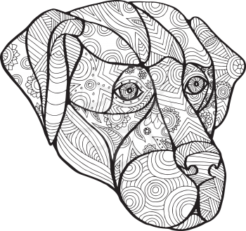 Mandala style illustration of a labrador retriever dog head viewed from front on isolated backgound.