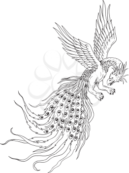 Drawing sketch style illustration of a Simorg,Simurgh, simorg, simurg, simoorg, simorq or simourv, a mythical bird in Iranian Persian mythology that has a head of a wolf, with beak of eagle, legs of lion and tail of a peacock.
