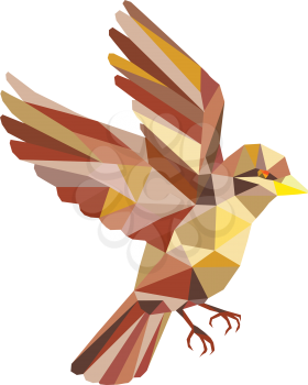 Low polygon style illustration of a sparrow flying viewed from the side set on isolated white background. 