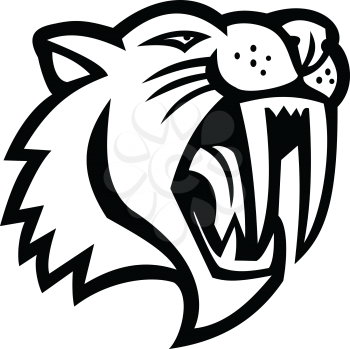 Black and white mascot illustration of head of an angry saber-toothed cat or Smilodon, viewed from side on isolated background in retro style.
