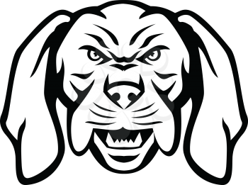 Black and white mascot illustration of head of an angry and aggressive Hungarian or Magyar Vizsla sporting, pointer and retriever dog viewed from front  on isolated background in retro style.