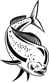 Retro style illustration of a mahi-mahi, dorado or common dolphinfish (Coryphaena hippurus), a surface-dwelling ray-finned fish, diving down done in black and white on isolated background.