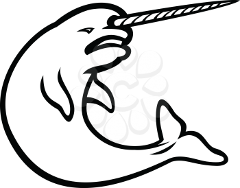 Black and white illustration of an angry narwhal  or narwhale, a medium-sized toothed whale that has a large tusk like a unicorn horn, jumping up viewed from side on isolated background in retro style.