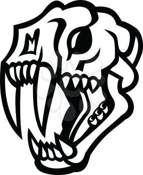 Black and white illustration of skull head of a saber-toothed cat or sabre-tooth viewed from side on isolated background in retro style.