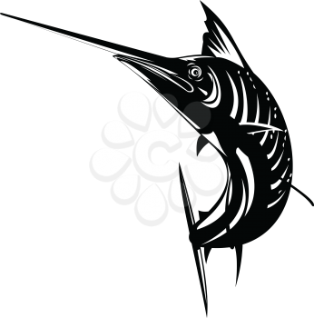 Retro woodcut style illustration of an Atlantic sailfish, a fish of the genus Istiophorus of billfish living in colder sea areas, jumping up viewed from front on isolated background done in black and white.
