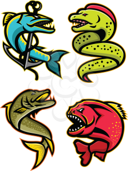Mascot icon illustration set of ferocious and fearsome fishes like the barracuda, moray eel, northern pike or muskellunge fish, the piranha, pirana or caribe viewed from side  on isolated background in retro style.