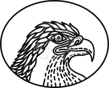 Mono line illustration of head of a sea eagle, bald eagle,a large bird of prey of the family Accipitridae,  viewed from side set inside oval shape done in monoline style.