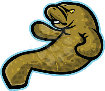 Mascot icon illustration of an angry manatee, dugong or sea cow, a large, fully aquatic, mostly herbivorous marine mammal viewed from side on isolated background in retro style.