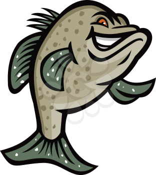 Mascot icon illustration of a crappie, croppie, papermouths, strawberry bass, speckled bass, specks, speckled perch, crappie bass or calico bass, standing up viewed from front done in retro style.