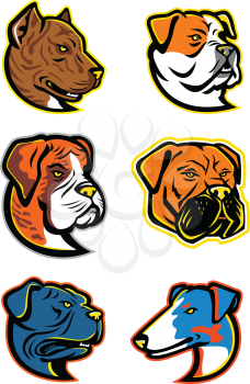 Mascot icon illustration set of heads of bulldogs and terriers like the Spanish Bulldog or Alano Espanol, American Bulldog, Boxer dog, Bullmastiff, Leavitt Bulldog and the Smooth Fox terrier  viewed from  on isolated background in retro style.