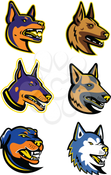 Mascot icon illustration set of heads of guard dogs like the Australian Kelpie, Belgian Malinois, Doberman Pinscher dog, German Shepherd, Rottweiler and the Siberian Husky viewed from side on isolated background in retro style.