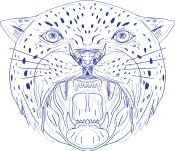 Illustration of an Angry Jaguar, panther, leopard, wildcat, big cat Head showing it's Fangs viewed from front done in hand drawn, sketch Drawing style.
