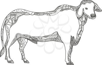 Doodle art illustration of a Brahman or Brahma bull, a breed of Zebu cattle viewed from side in black and white done in mandala style.