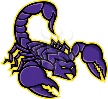 Mascot icon illustration of a scorpion, a predatory arachnid of the order Scorpiones, with sting in it's tail or venomous stinger about to strike on isolated background in retro style.