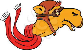 Cartoon style illustration of head of a pilot camel wearing scarf, vintage aviator helmet hat and goggles smiling viewed from side on isolated background.