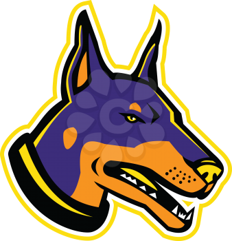 Mascot icon illustration of head of a Dobermann or Doberman Pinscher, a medium-large breed of domestic dog originally developed as guard dog on isolated background in retro style.