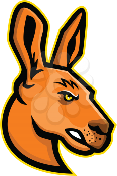 Mascot icon illustration of head of a  kangaroo, a marsupial from the family Macropodidae, indigenous to Australia viewed from side on isolated background in retro style.
