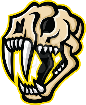 Mascot icon illustration of skull head of a saber-toothed cat or sabre-tooth viewed from side on isolated background in retro style.