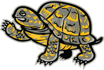 Mascot icon illustration of an eastern box turtle or land turtle, waving viewed from side on isolated background in retro style.