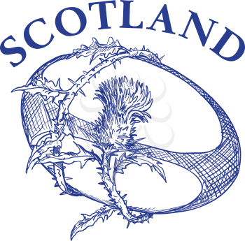 Hand sketched drawing illustration of rugby ball with Scotch thistle flower and vine entwined on isolated background with words Scotland.
