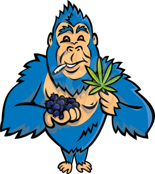 Mascot icon illustration of a blue gorilla holding a bunch of blueberry on one hand and cannabis leaf on other while smoking a joint standing from front on isolated background in cartoon style.