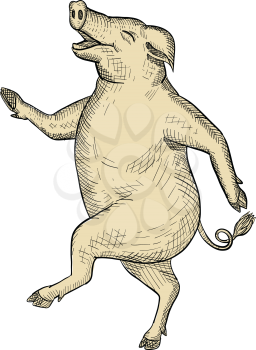 Drawing sketch style illustration of a jolly and happy pig dancing, walking or taking a stride viewed from side on isolated white background.