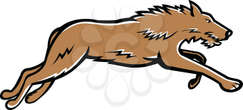 Sports mascot icon illustration of Scottish Deerhound or the Deerhound, a large breed of hound bred for hunting red deer running on isolated background in retro style.