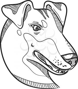 Drawing sketch style illustration of head of a Manchester Terrier, a breed of dog of the smooth-haired terrier type viewed from side on isolated white background in black and white.