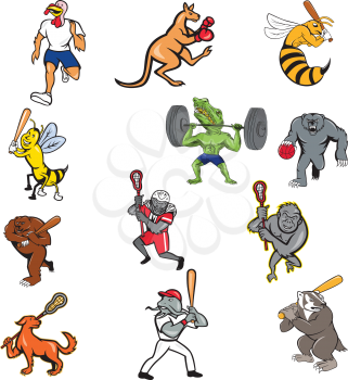 Set or collection of cartoon character mascot illustration of animals like turkey, kangaroo, wasp, bee, crocodile, alligator, bear, gorilla, badger, dog engage in sports full body isolated background.